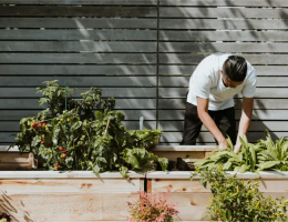 Benefits of becoming a gardener ― how daily labour improves mental clarity