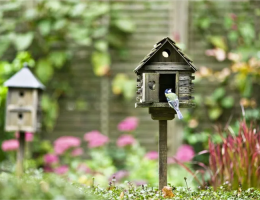 Furry friends and feathered neighbours: creating a harmonious garden environment