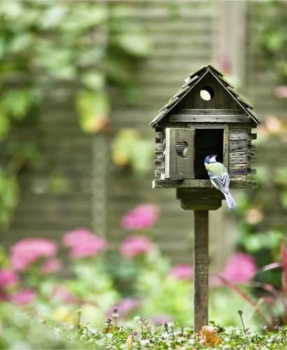 Furry friends and feathered neighbours: creating a harmonious garden environment