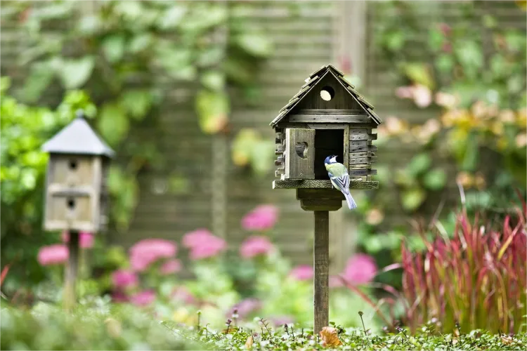 Furry friends and feathered neighbours: creating a harmonious garden environment